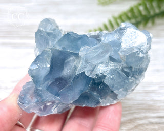 Celestite #13