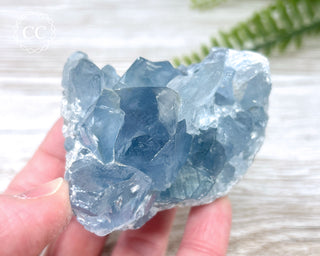 Celestite #13