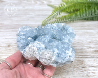 Celestite #5