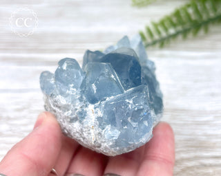 Celestite #13