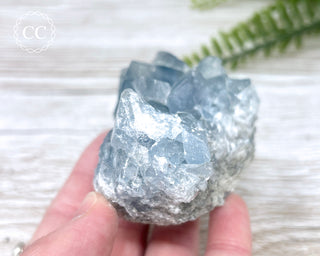 Celestite #13