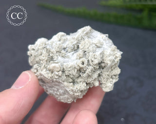 Celestite Specimen - Clay Center #3