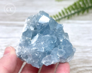 Celestite #15