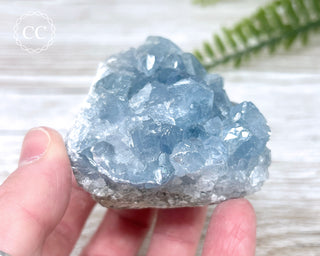 Celestite #15