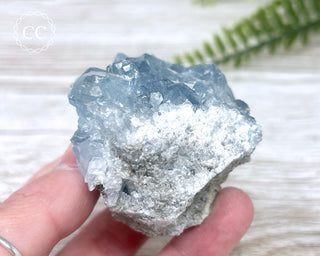 Celestite #15