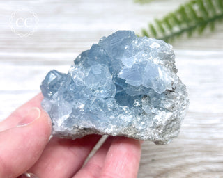 Celestite #15