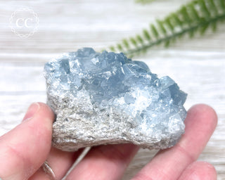 Celestite #15