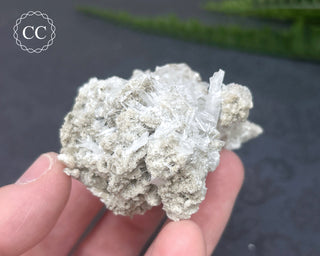 Celestite Specimen - Clay Center #3