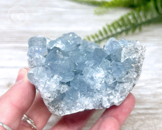 Celestite #7