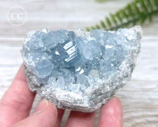 Celestite #16