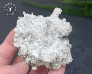 Celestite Specimen - Clay Center #3