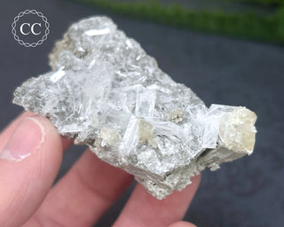 Celestite & Calcite Specimen - Clay Center #1