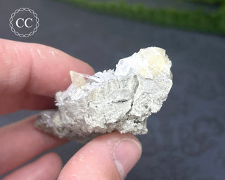 Celestite & Calcite Specimen - Clay Center #1