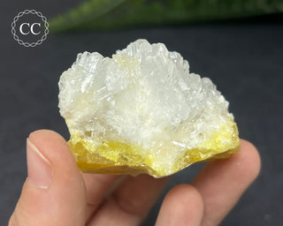 Celestite & Sulphur - Muculufa Mine #2