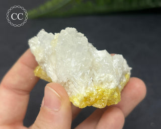 Celestite & Sulphur - Muculufa Mine #2