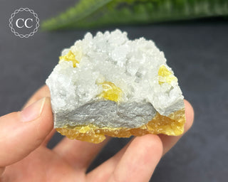 Celestite & Sulphur - Muculufa Mine #1