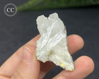 Celestite & Sulphur - Muculufa Mine #3