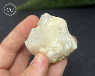 Celestite & Sulphur - Muculufa Mine #4