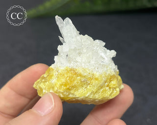 Celestite & Sulphur - Muculufa Mine #5