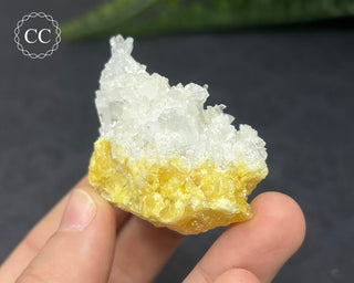 Celestite & Sulphur - Muculufa Mine #5