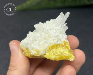 Celestite & Sulphur - Muculufa Mine #5