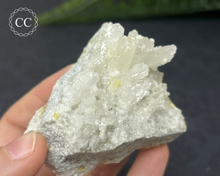 Celestite & Sulphur - Muculufa Mine #8