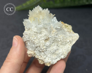 Celestite & Sulphur - Muculufa Mine #9