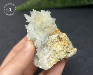 Celestite & Sulphur - Muculufa Mine #9