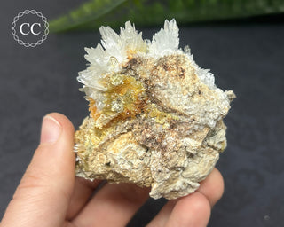 Celestite & Sulphur - Muculufa Mine #9