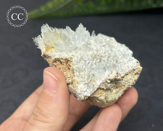 Celestite & Sulphur - Muculufa Mine #9