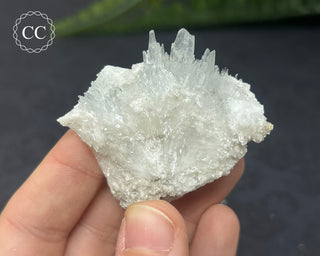 Celestite & Sulphur - Muculufa Mine #12