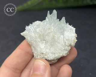 Celestite & Sulphur - Muculufa Mine #12