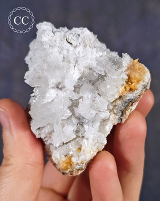 A hand holding a specimen of Celestite with yellow Sulphur is from the closed Muculufa Mine