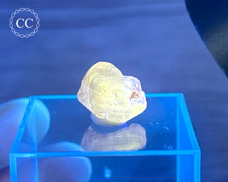 Cerussite Crystal #6