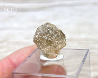 Cerussite Crystal #4