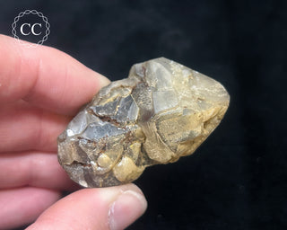 Cerussite Crystal #3