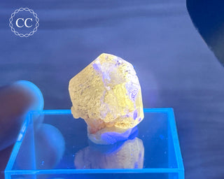 Cerussite Crystal #4