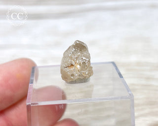 Cerussite Crystal #6