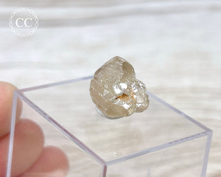 Cerussite Crystal #6