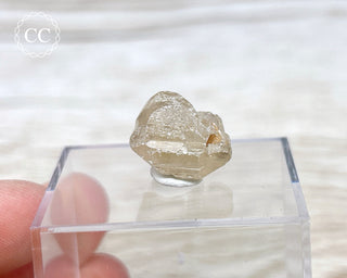 Cerussite Crystal #6