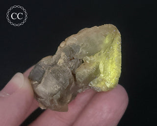 Cerussite Crystal #3