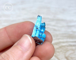 Chalcanthite Specimen - Planet Mine #4