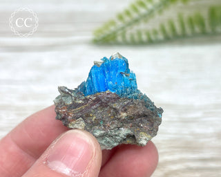 Chalcanthite Specimen #3