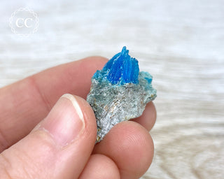 Chalcanthite Specimen - Planet Mine #7