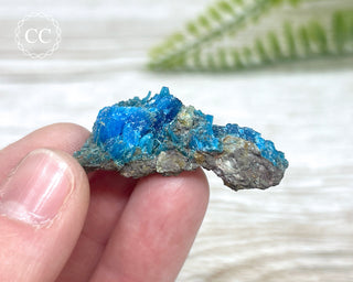 Chalcanthite Specimen #4