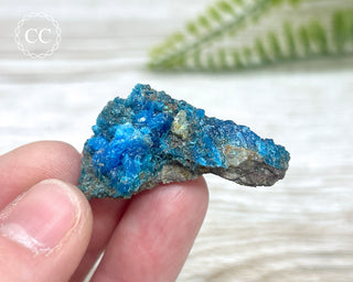 Chalcanthite Specimen #4