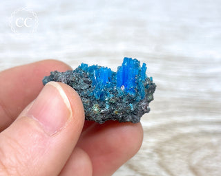 Chalcanthite Specimen - Planet Mine #9