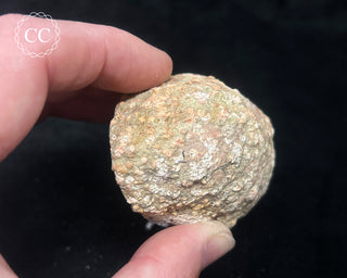Chalcedony Geode #1
