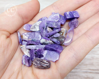 Charoite Crystal Chips 20g