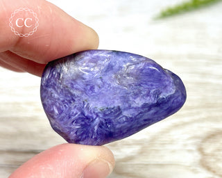 Charoite Pebble #2